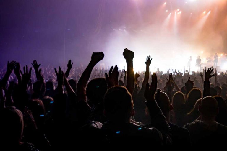 crowded concert representing skills needed for digital marketing